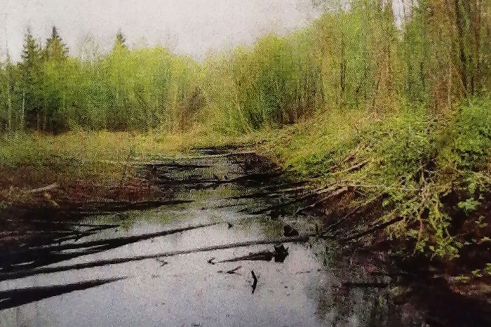 Ликвидация аварийного разлива на нефтепроводе УППН «Кыласово» - ПНОС», 2003 год